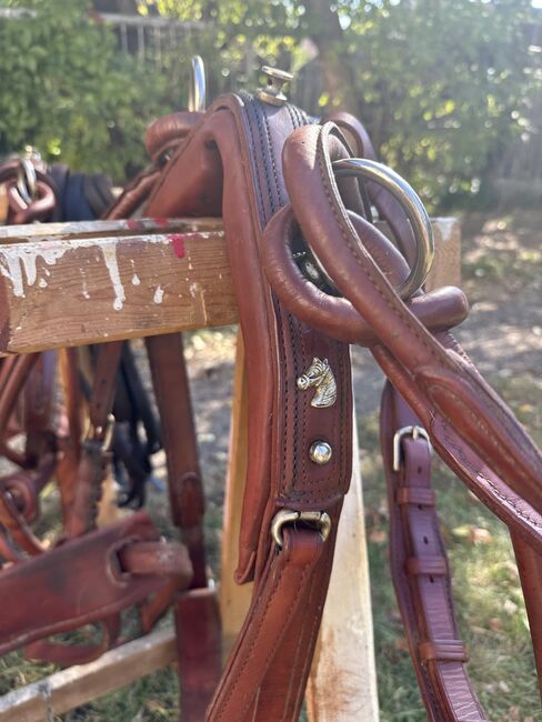 Zweispänner Brustblattgeschirr, Jennifer Böck, Horse Harness, Zellerndorf, Image 3