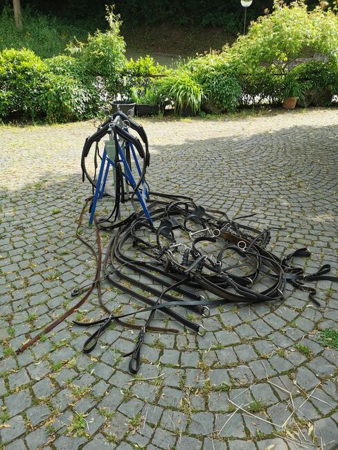 Zweispänner Brustblattgeschirr, Simone, Horse Harness, Schönenberg-Kübelberg, Image 2