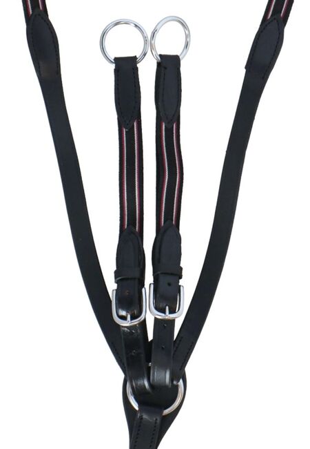 Vorderzeug Leder WB *neu*, HB Ruitersport, Sabine, Training Aids, Lastrup, Image 2