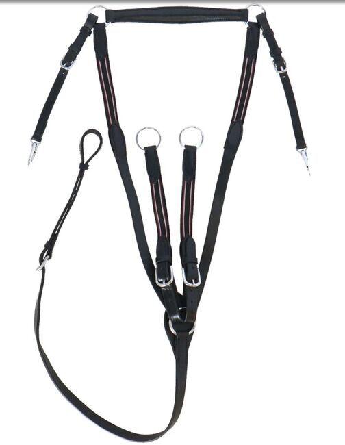 Vorderzeug Leder WB *neu*, HB Ruitersport, Sabine, Training Aids, Lastrup