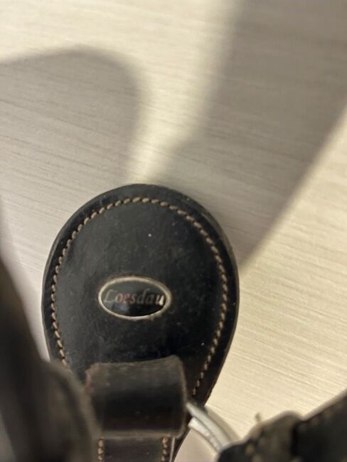 Vorderzeug, Loesdau, Laura Hopp, Saddle Accessories, Grömitz, Image 2