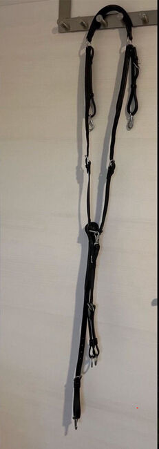 Vorderzeug, Loesdau, Laura Hopp, Saddle Accessories, Grömitz