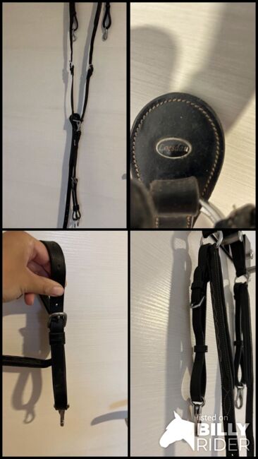 Vorderzeug, Loesdau, Laura Hopp, Saddle Accessories, Grömitz, Image 7
