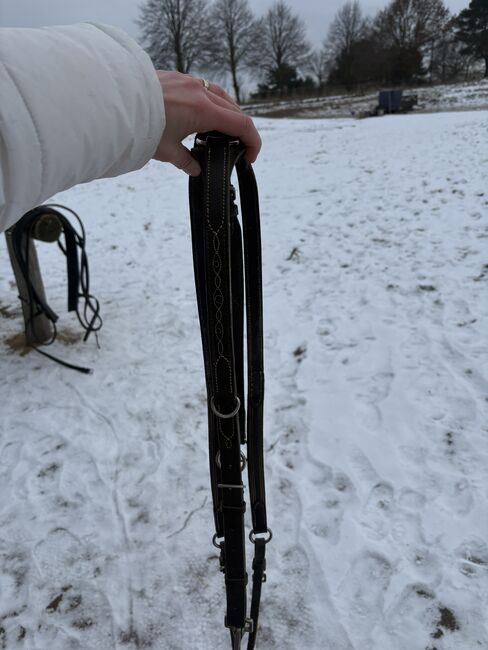 Vorderzeug/mit Ziernähten/ braun/WB, bonny, Saddle Accessories, Greifswald