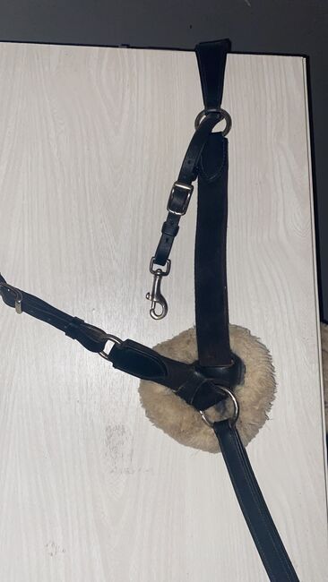 Fünf-Punkt-Vorderzeug Warmblut schwarz, Ciara, Training Aids, Lübbenau, Image 3