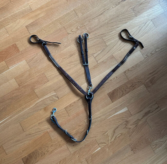 Vorderzeug mit Martingal, Vorderzeug mit Martingal Gabel, Orlopp Carmen - Sophia , Training Aids, Schmitten