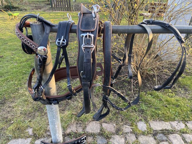 Brustblattgeschirr COB schwarz/braun *NEU*, Fischer Brustblattgeschirt, Sabine, Horse Harness, Geringswalde, Image 3