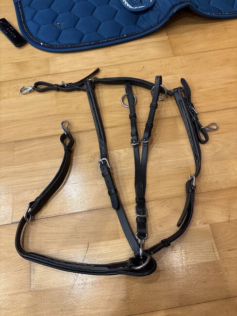 Vorderzeug ,  Pony , Leder , Schwarz, Chantal Hartnagel, Training Aids, Feuchtwangen 