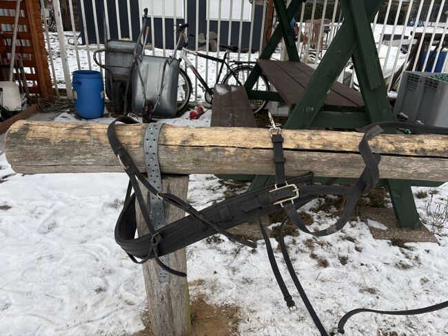 Brustblatt/Einspänner/WB/braun, bonny, Horse Harness, Greifswald