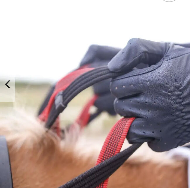 Vorderzeug mit Sicherheitszügel, Pony, waldhausen, Inga, Training Aids, Großenwiehe, Image 3