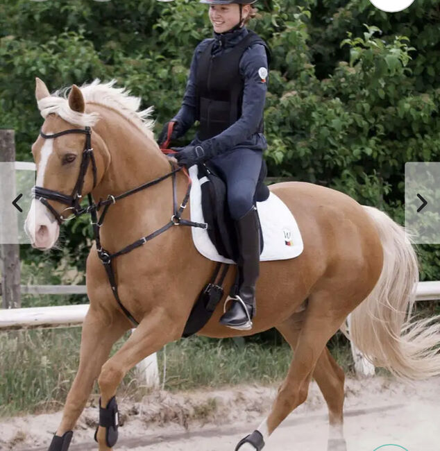 Vorderzeug mit Sicherheitszügel, Pony, waldhausen, Inga, Training Aids, Großenwiehe, Image 4