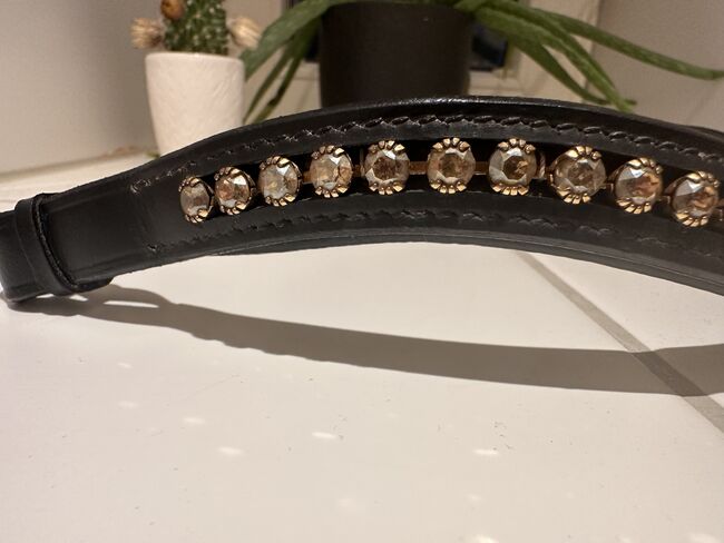 Stirnriemen Ascot WB, Ascot, Liesa, Browbands, Bregenz, Image 5