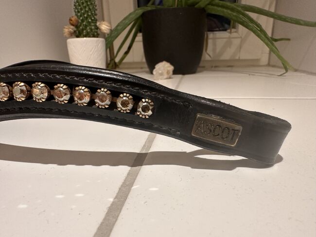 Stirnriemen Ascot WB, Ascot, Liesa, Browbands, Bregenz, Image 2