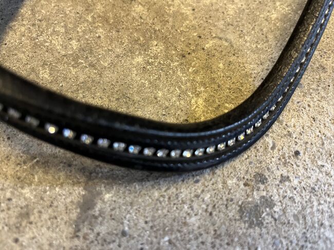 Stirnriemen WB, Uschi Nowlan, Browbands, München, Image 2