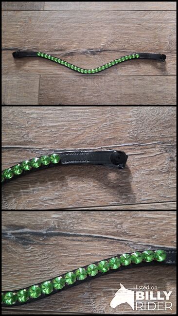 Stirnriemen WB Grün, Hufbotique , ADN, Browbands, Duisburg, Image 4