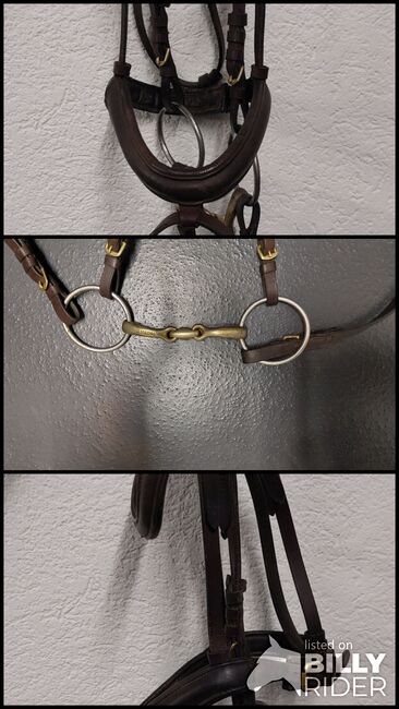 Brauner Zaum, Uschi, Nosebands, Widen, Image 4