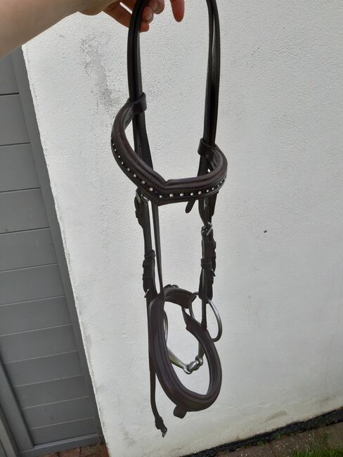 Braune Trense mit Diamantenstirnband, Jasmin, Bridles & Headstalls, Melle, Image 2