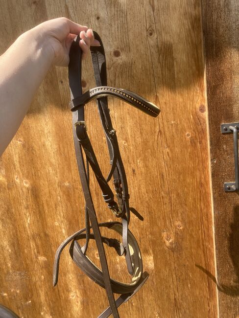 Braune Trense mit goldenen Details Full, Star, Emma, Bridles & Headstalls, Quitzdorf am See, Image 2