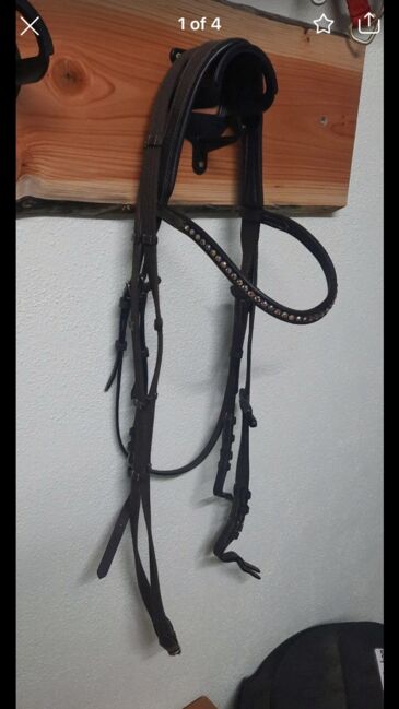 Braune Trense ohne Reithalfter, Loesdau Bergen, Kirsten Reiser, Bridles & Headstalls, Weil der Stadt