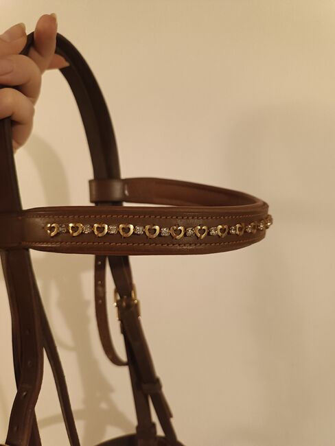 Braune WB Trense mit goldenen Schnallen, M. Lüers, Bridles & Headstalls, Magdeburg 