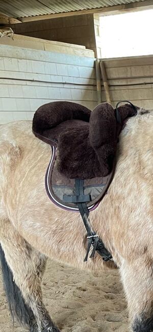 Brauner Fellsattel, Engel Fellsattel Lammfell inkl. Distanzgewebe, Huber, Lambskin Pad, Mühlhausen 
