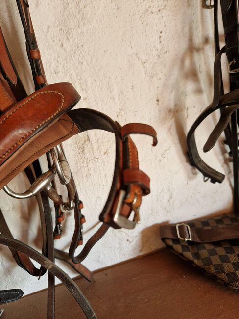 Braune Ledertrense WB, Lisa, Bridles & Headstalls, Wulkow