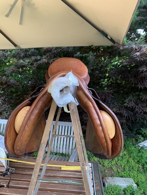Brauner Springsattel, Karl Niedersüß Piano , Alina , Jumping Saddle, Landskron, Image 8