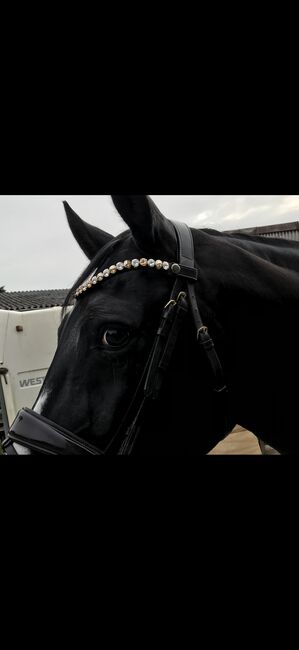 Braune Trense, Lissy, Bridles & Headstalls, Einbeck 