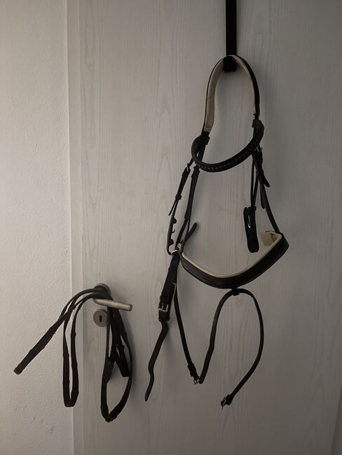 Braune Trense, Busse, Nele, Bridles & Headstalls, Hachenburg, Image 3