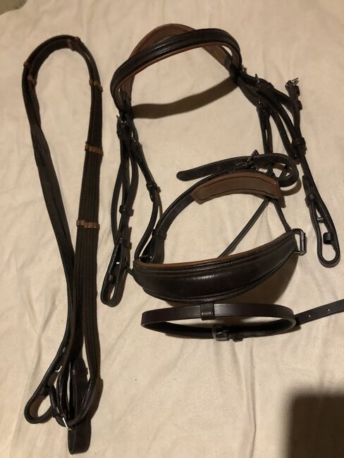 Braune Trense in Cob, Harrys Horse, Sandra Seitz, Bridles & Headstalls, Sulzbach-Rosenberg 