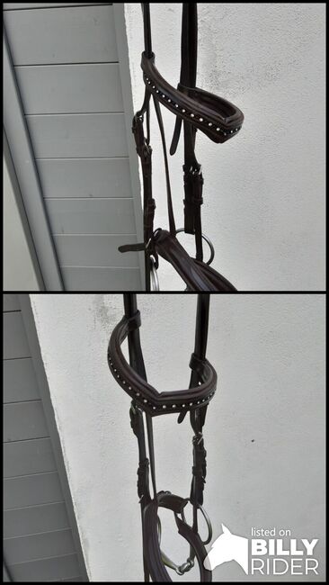 Braune Trense mit Diamantenstirnband, Jasmin, Bridles & Headstalls, Melle, Image 3