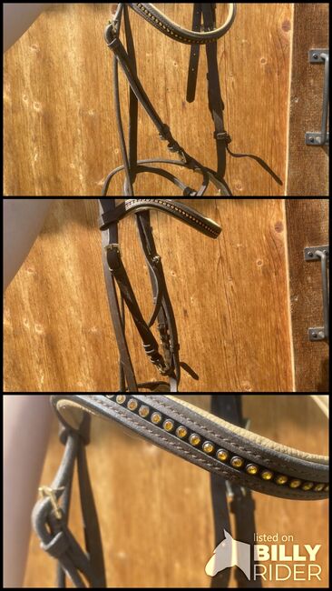 Braune Trense mit goldenen Details Full, Star, Emma, Bridles & Headstalls, Quitzdorf am See, Image 4