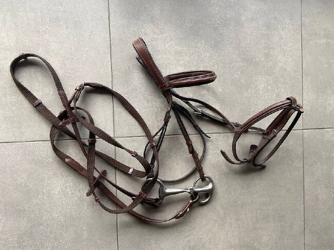 Bruno Delgrange: selle de dressage / Dressursattel, Ella, Dressage Saddle, Glarus, Image 3