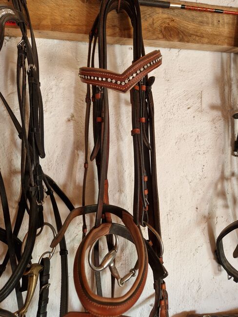 Braune Ledertrense WB, Lisa, Bridles & Headstalls, Wulkow, Image 2