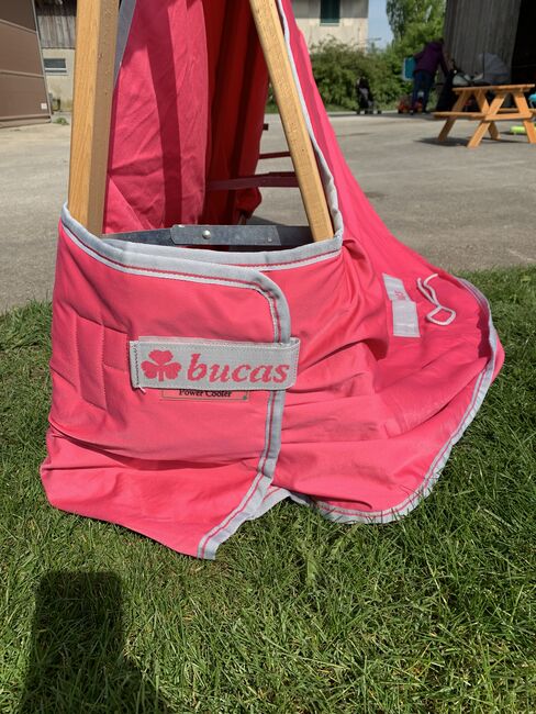 Bucas Abschwitzdecke, Bucas Power Cooler, Patty, Pferdedecken, Brütten