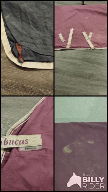 Bucas Decke Lila, Bucas  Freedom, Brigitte , Horse Blankets, Sheets & Coolers, Appenweier, Image 6