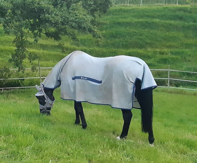 BUCAS Buzz-Off, Full Neck, Fliegendecke,145 cm, silber, BUCAS Buzz-Off, Full Neck, Fliegendecke,145 cm, silber, Gaby Lais, Horse Blankets, Sheets & Coolers, Malsburg-Marzell