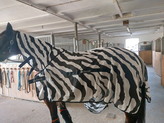 Bucas Buzz Off Full Neck Fliegendecke Gr.155 nagelneu, Bucas Buzz Off Zebra Full Neck, Katja Nirschl , Horse Blankets, Sheets & Coolers, Irschenberg, Image 2