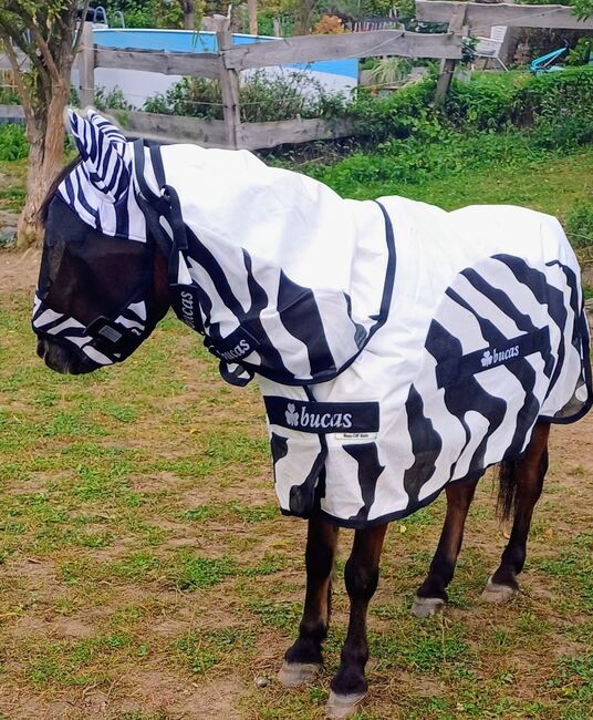 Bucas Buzz off Rain Zebra Neck, Bucas  Buzz of Rain Zebra Neck , re.moni, Pferdedecken, Dortmund