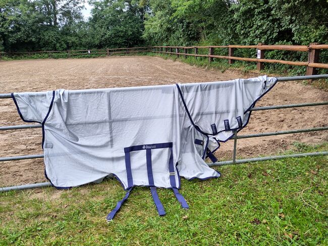 bucas buzz-off x 145 Fliegendecke, Bucas Buzz-off x Fliegendecke 145 cm, Frauke Morgenroth, Horse Blankets, Sheets & Coolers, Norderstedt, Image 3