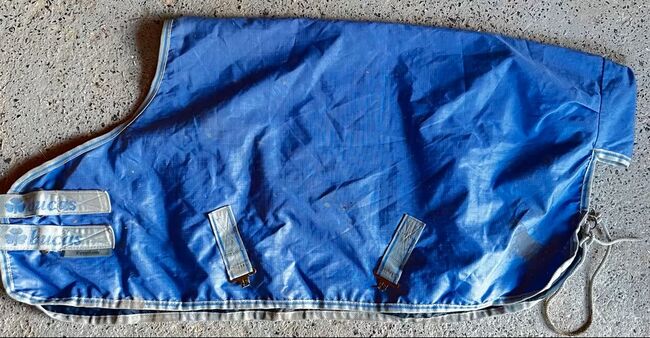 Bucas Freedom, Bucas Freedom , Sarah , Horse Blankets, Sheets & Coolers, Poppenhausen