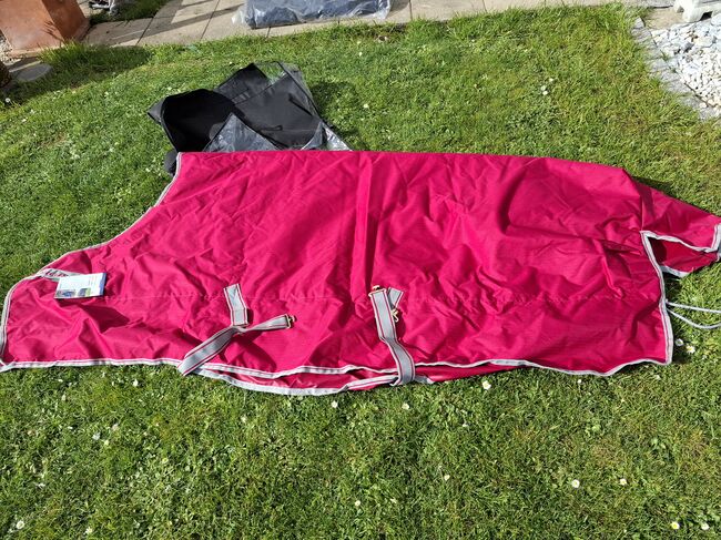 Bucas Freedom, Bucas  Freedom turnout, Privat , Horse Blankets, Sheets & Coolers, Münzenberg 