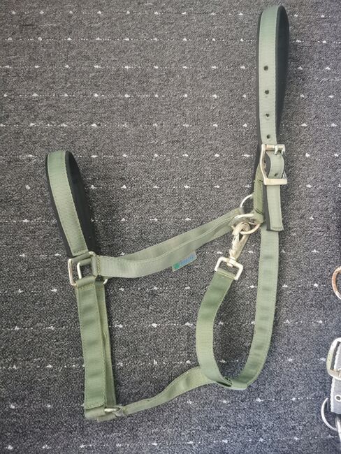 Bucas Halfter XL, Bucas, Daniela Cardoso, Halters, Neubiberg