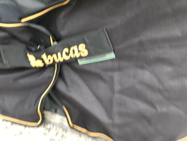 Bucas Irish Turnout, Lucas Irish Turnout, Christiane Johnen-Jann, Horse Blankets, Sheets & Coolers, Herford, Image 5