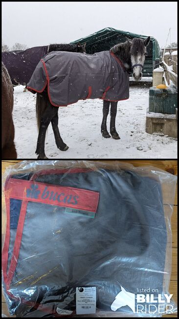 Bucas Irish Turnout Decke 125 cm 50 g atmungsaktiv, wasserabweisend - wie neu, Bucas Irish Turnout, Jamie Obier , Pferdedecken, Weilrod, Abbildung 3