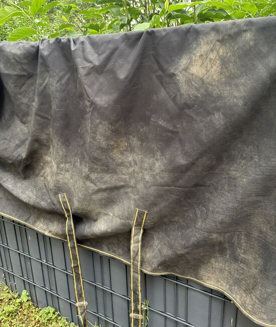 Bucas Irish Turnout Light 50g High Neck 140cm, Bucas Irish Turnout Light High Neck, Isabel , Horse Blankets, Sheets & Coolers, Bochum, Image 3
