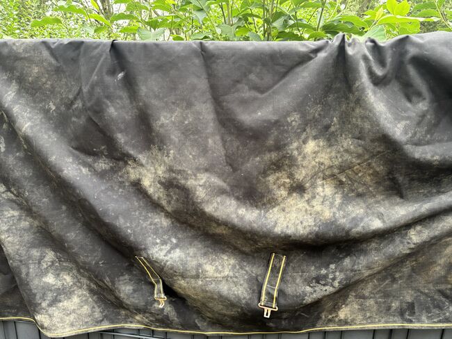 Bucas Irish Turnout Light 50g High Neck 140cm, Bucas Irish Turnout Light High Neck, Isabel , Horse Blankets, Sheets & Coolers, Bochum, Image 4