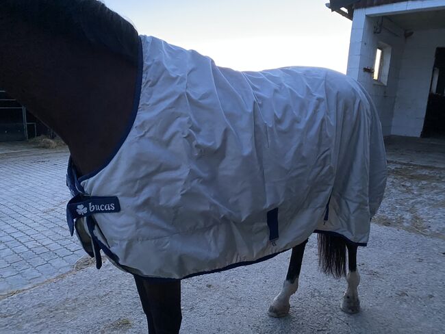 Bucas Power Turnout, high neck, 145, Pferdedecke mit Abschwitzfunktion, Bucas Power Turnout high neck, Svenja , Horse Blankets, Sheets & Coolers, Hessisch Lichtenau 