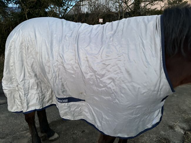 Bucas Power Turnout light in 145, Bucas  Power Turnout , Leonie, Horse Blankets, Sheets & Coolers, Petp, Image 2