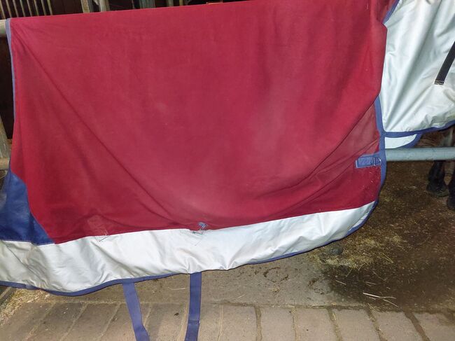 Bucas Power Turnout light 135cm, Bucas Power Turnout light classic, Alexandra, Horse Blankets, Sheets & Coolers, Essen, Image 3